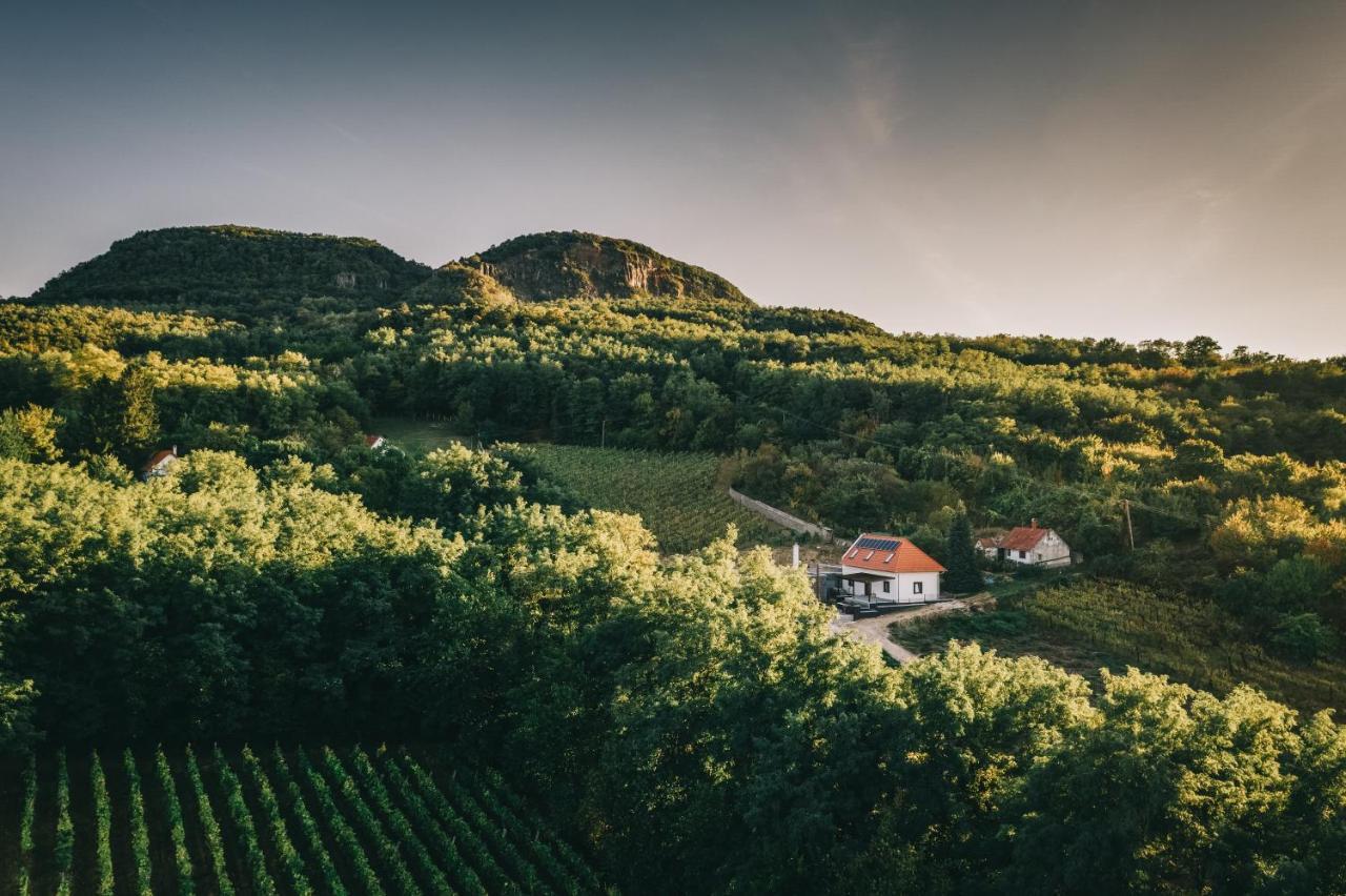 Hotel Fata Birtok Nemesgulács Esterno foto